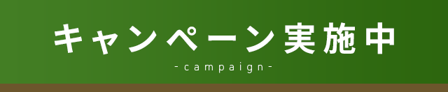 キャンペーン